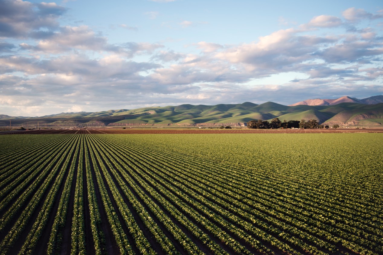 crops outdoor nature iot supply chain